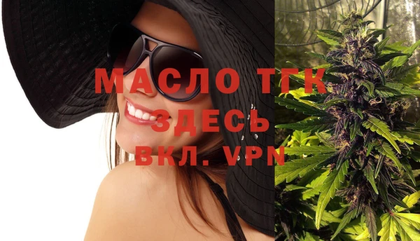 гидра Мегион