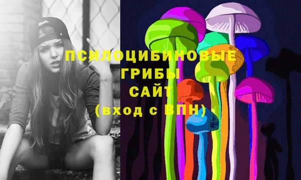гидра Мегион