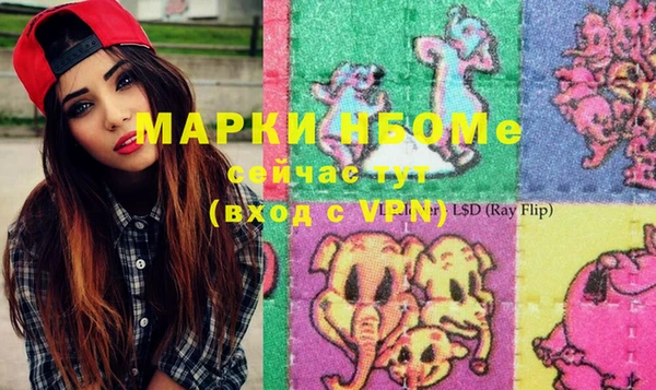 сатива Магас