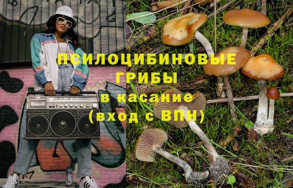 сатива Магас