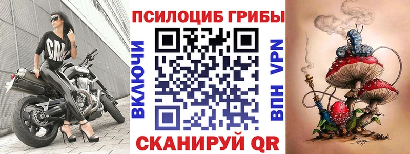 Галлюциногенные грибы Psilocybine cubensis Кола