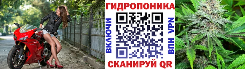 Бошки марихуана индика как найти наркотики Кола